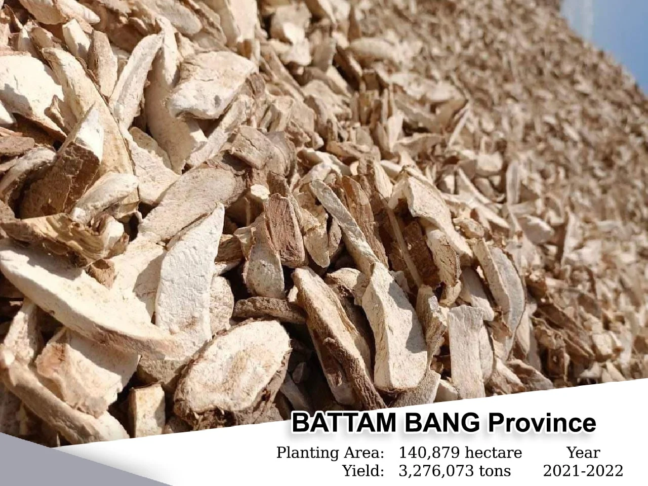 Battambang, Planting Area: 20,414 Heactars, Yield: 408,280 Tons , Year: 2021-2022