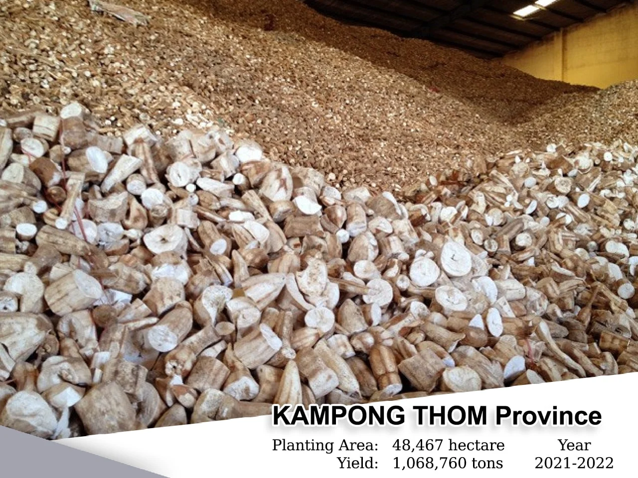 Kampong Thom, Planting Area: 20,414 Heactars, Yield: 408,280 Tons , Year: 2021-2022