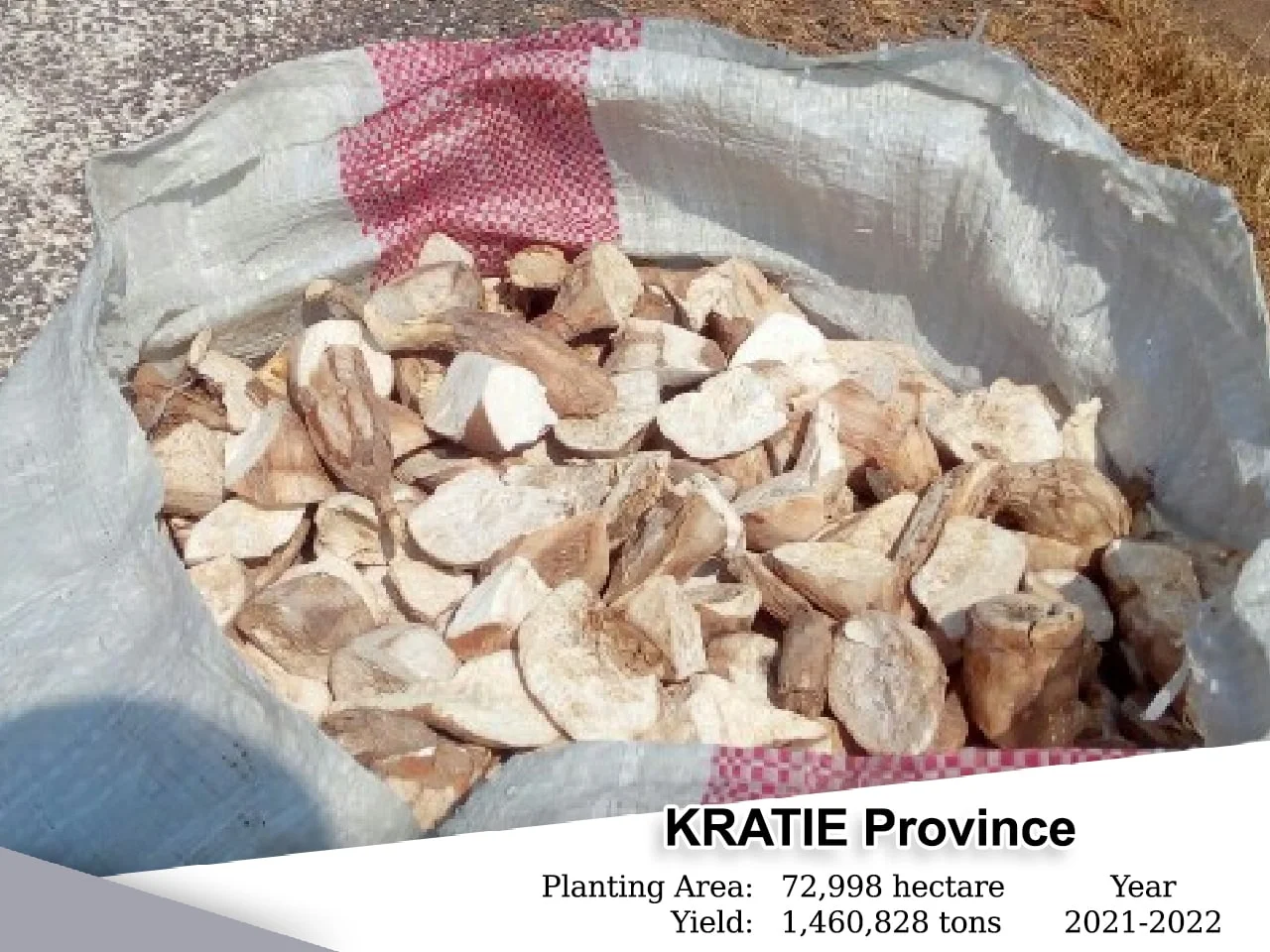 Kratie, Planting Area: 20,414 Heactars, Yield: 408,280 Tons , Year: 2021-2022