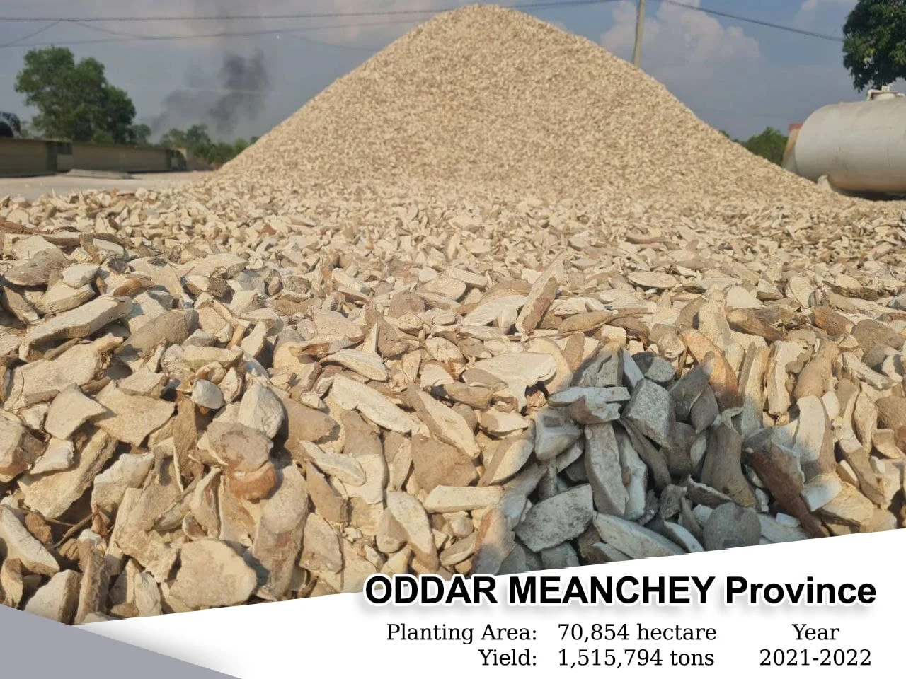 Oddar Meanchey, Planting Area: 20,414 Heactars, Yield: 408,280 Tons , Year: 2021-2022