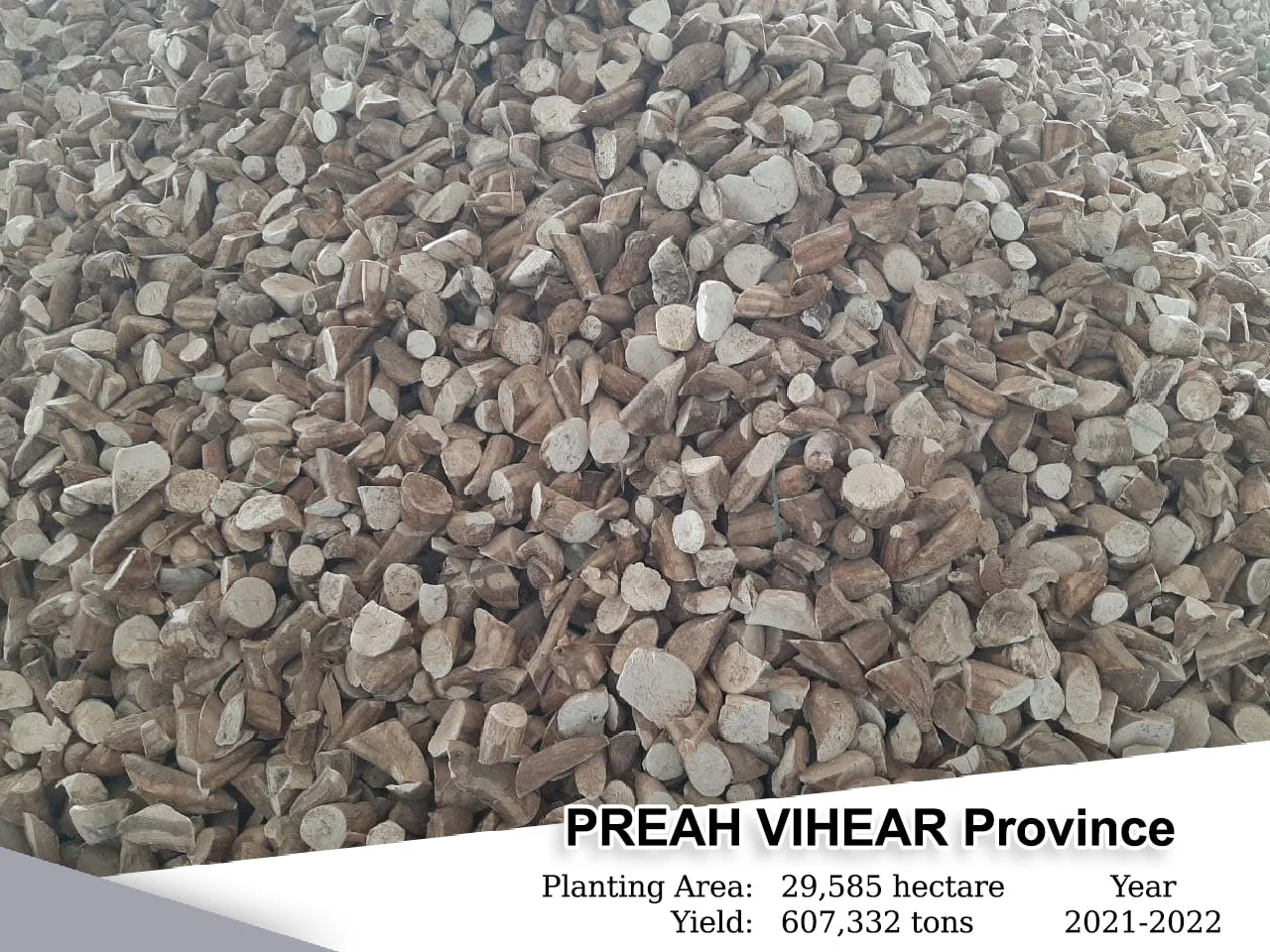 Preah Vihear, Planting Area: 20,414 Heactars, Yield: 408,280 Tons , Year: 2021-2022